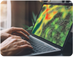 Bodenrisiko  minimieren